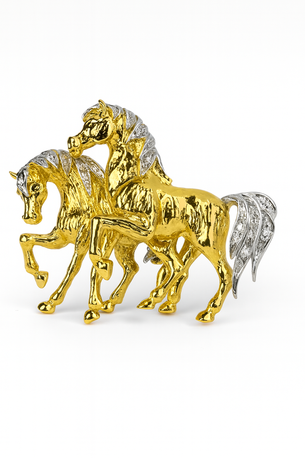 Cavalli di Luce