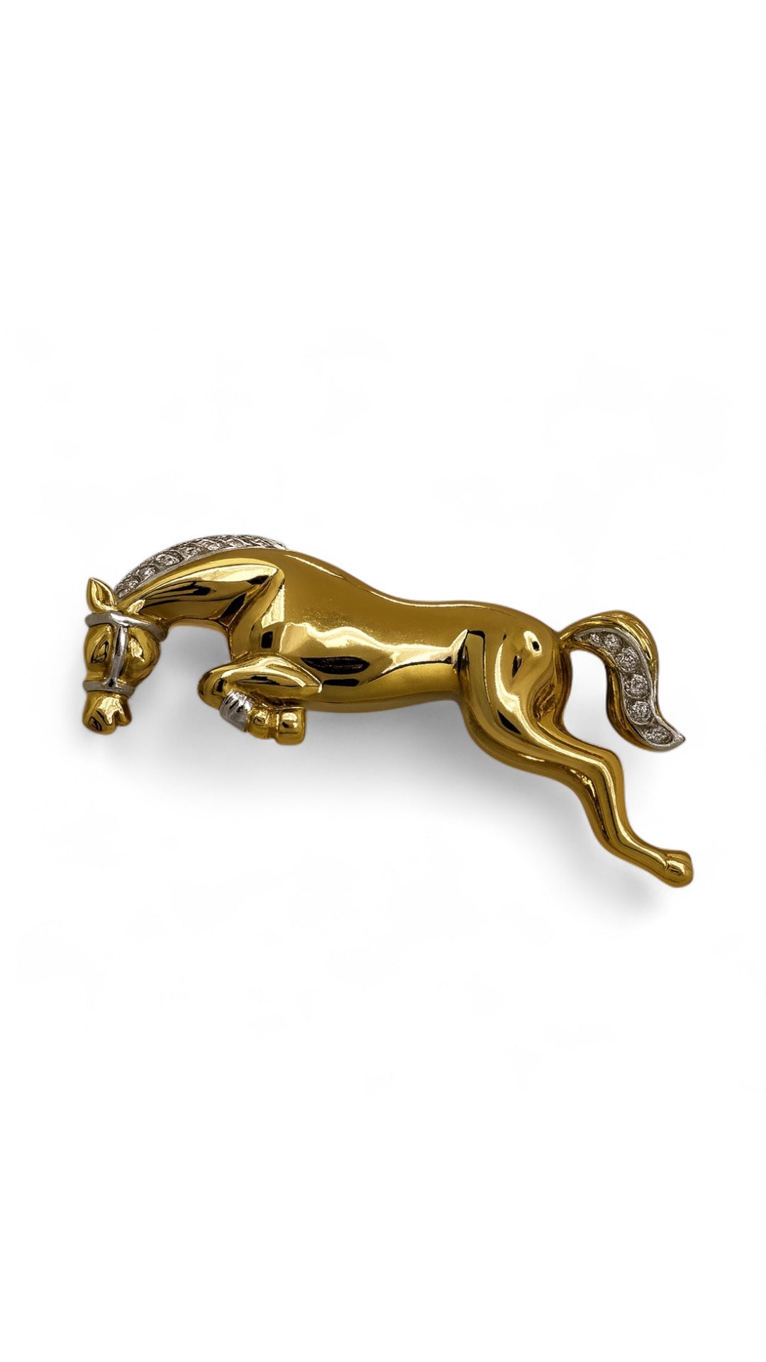 Il Salto d’Oro