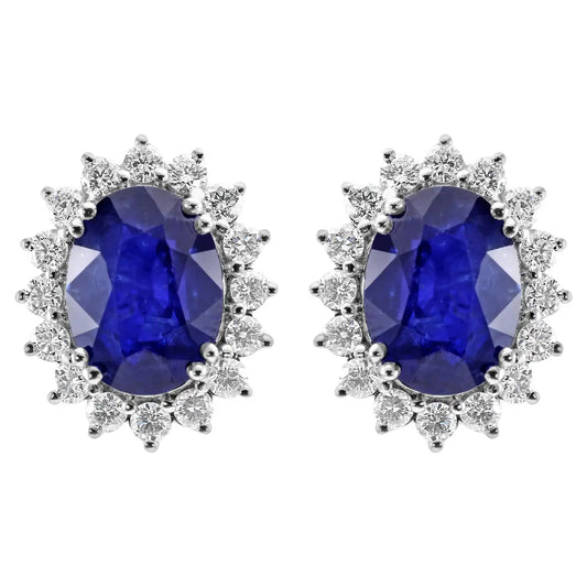 18K Gold Stud Earring Ceylon Sapphire Oval 10.05 Carats And White Rounds Diamonds Halo